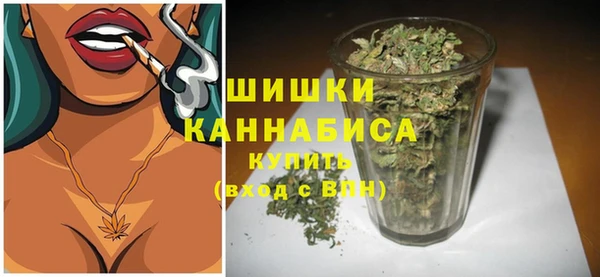 прущий лед Костерёво