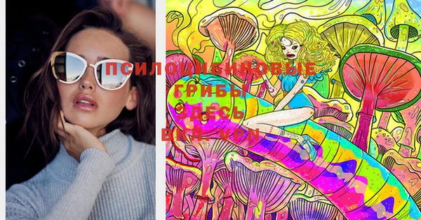 прущий лед Коряжма