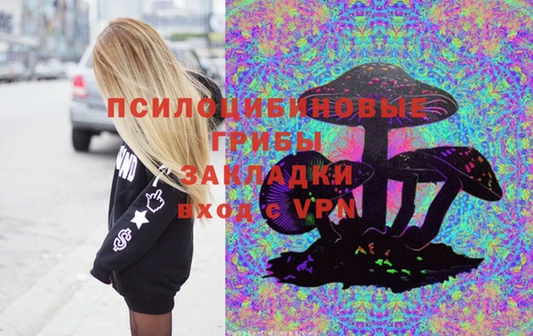 не бодяженный Корсаков