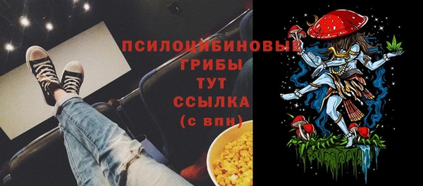 прущий лед Костерёво
