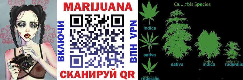 Купить закладки  Поворино  Бошки марихуана White Widow 